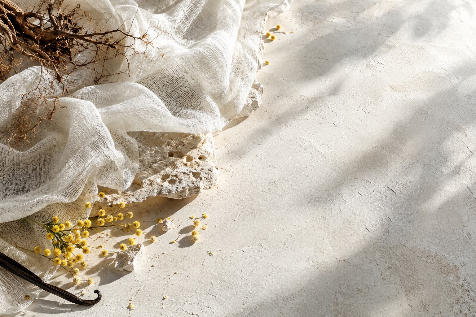 Tissu blanc, fleurs de mimosa et pierre dans la lumière.