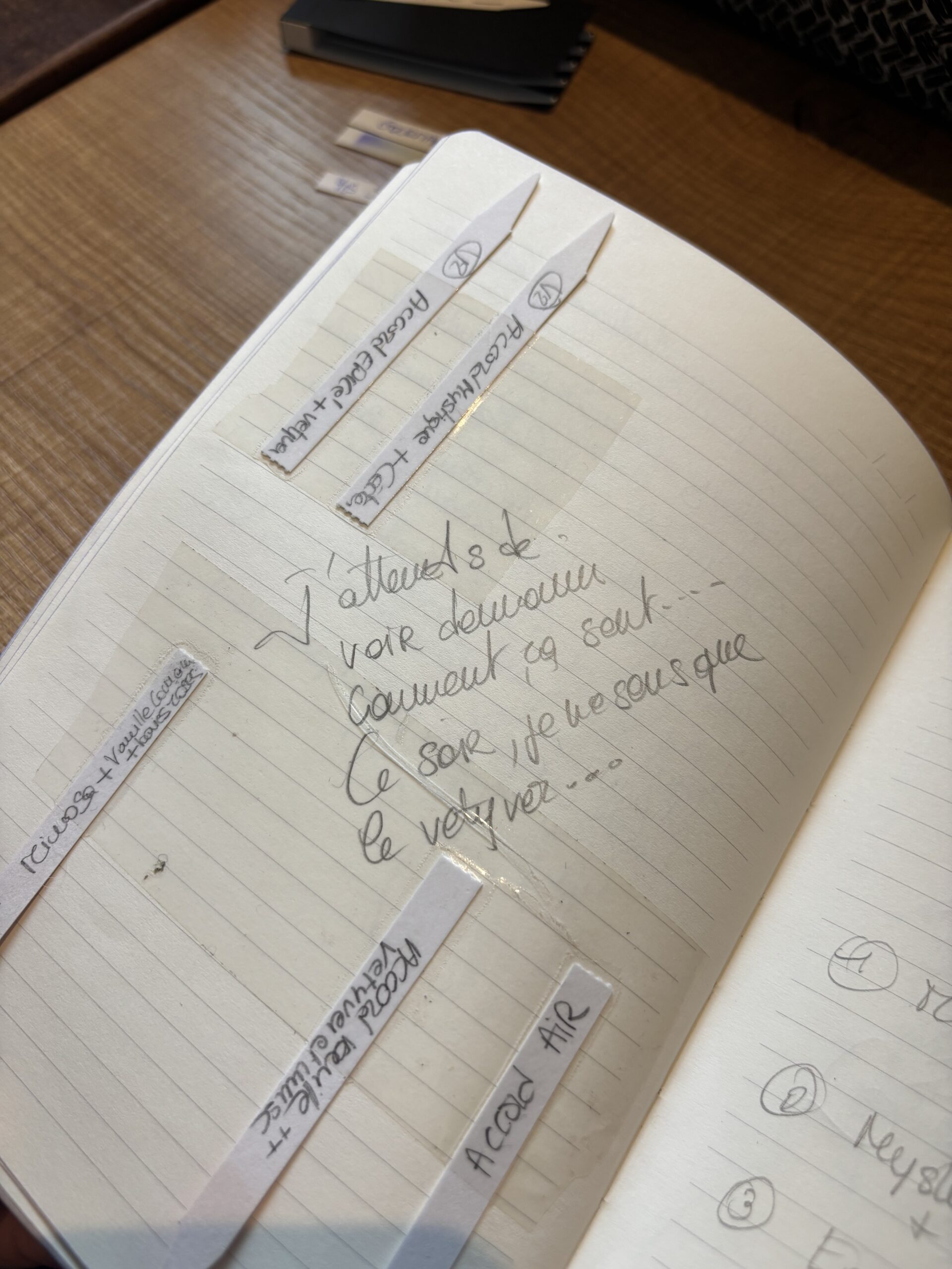 Carnet de recherches avec mouillettes collées et observations manuscrites.