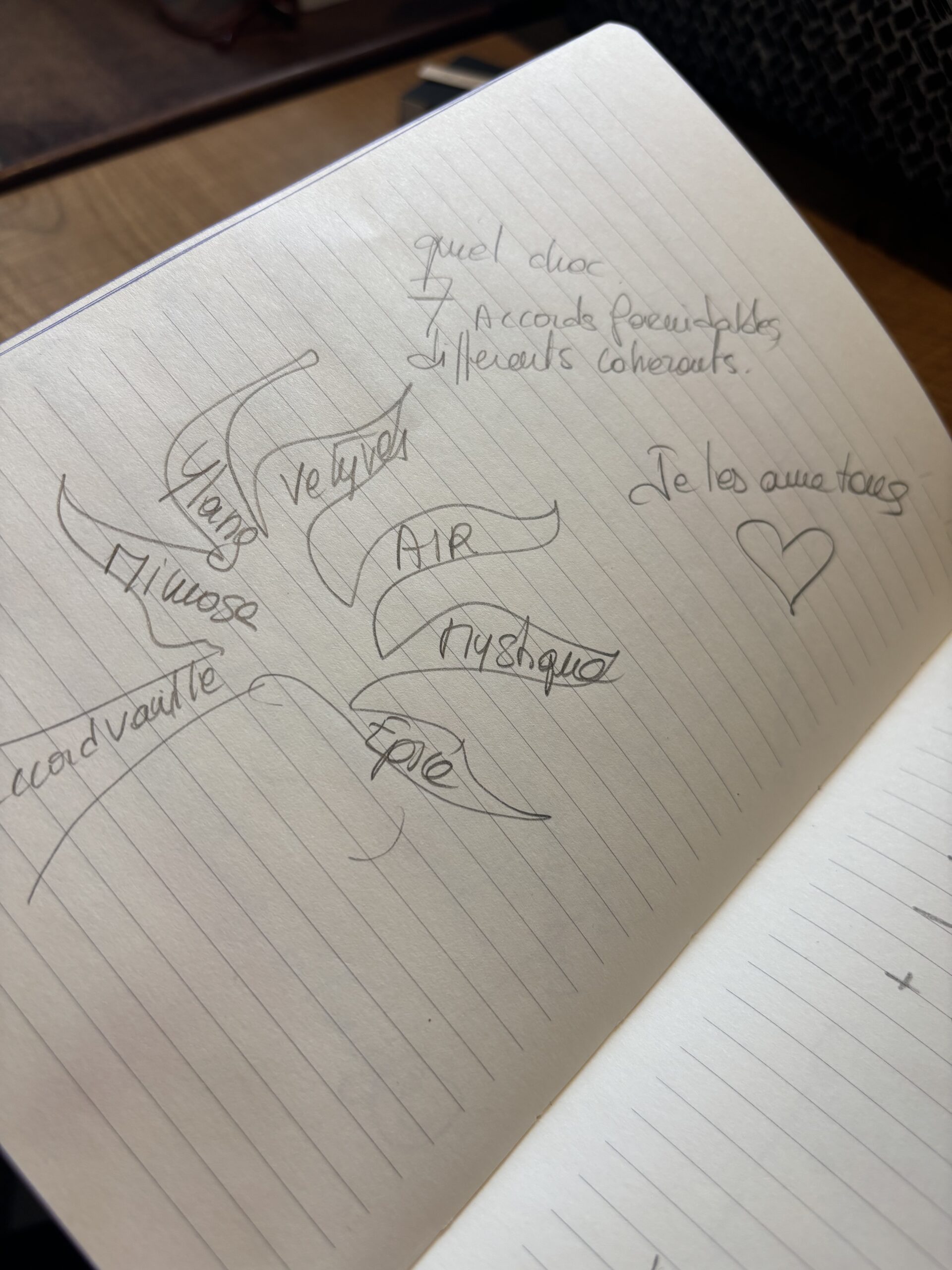 Notes manuscrites et croquis des sept accords dans le carnet de création.